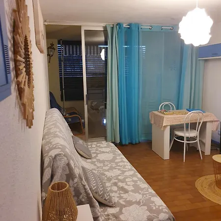 Agreable - Clim-piscine-parking - Proche Richelieu דירה אגדה